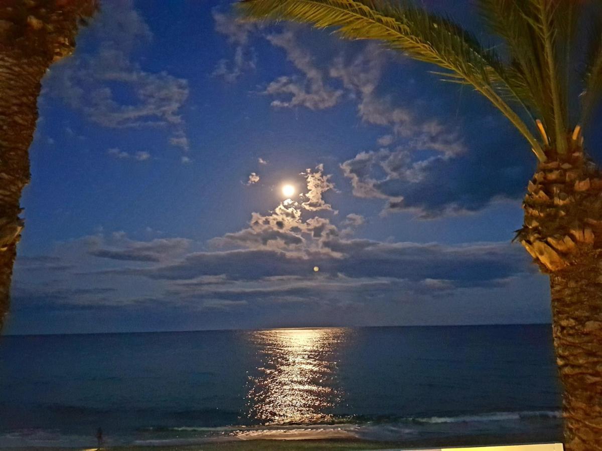 H El Palmeral Playa モハカル エクステリア 写真