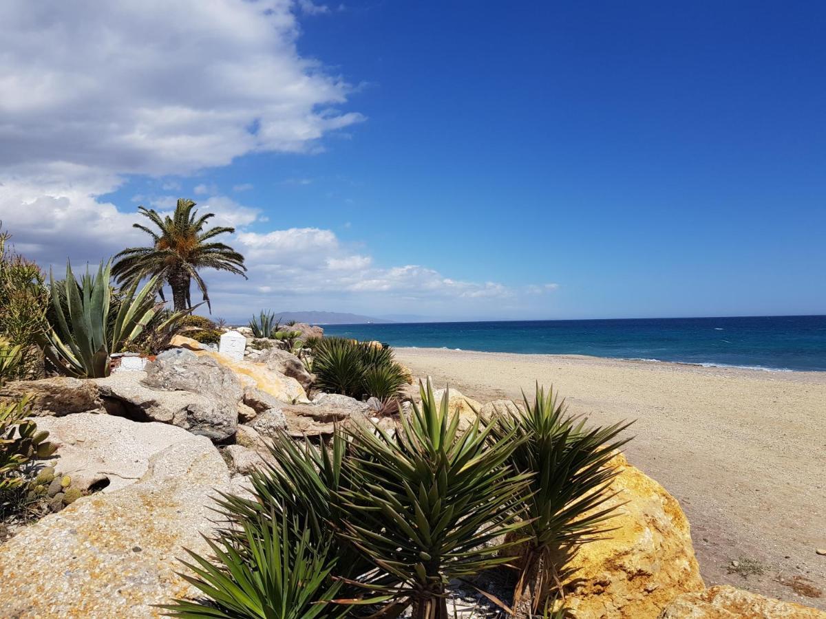 H El Palmeral Playa モハカル エクステリア 写真